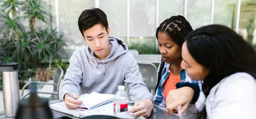 Which UK university has the most Nigerian